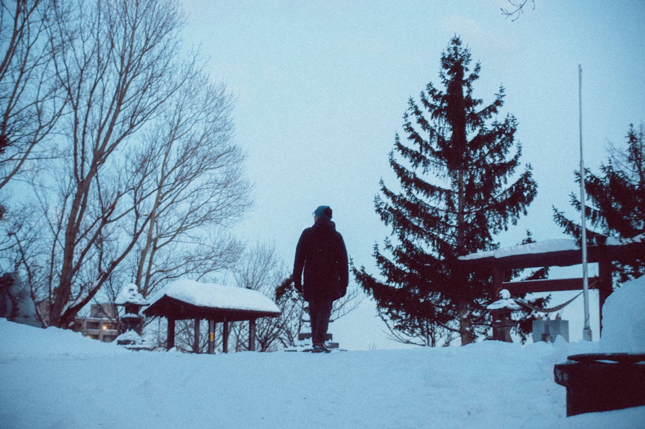 A person walks through a tranquil winter scene in Hokkaido, Japan, surrounded by snow-covered trees.